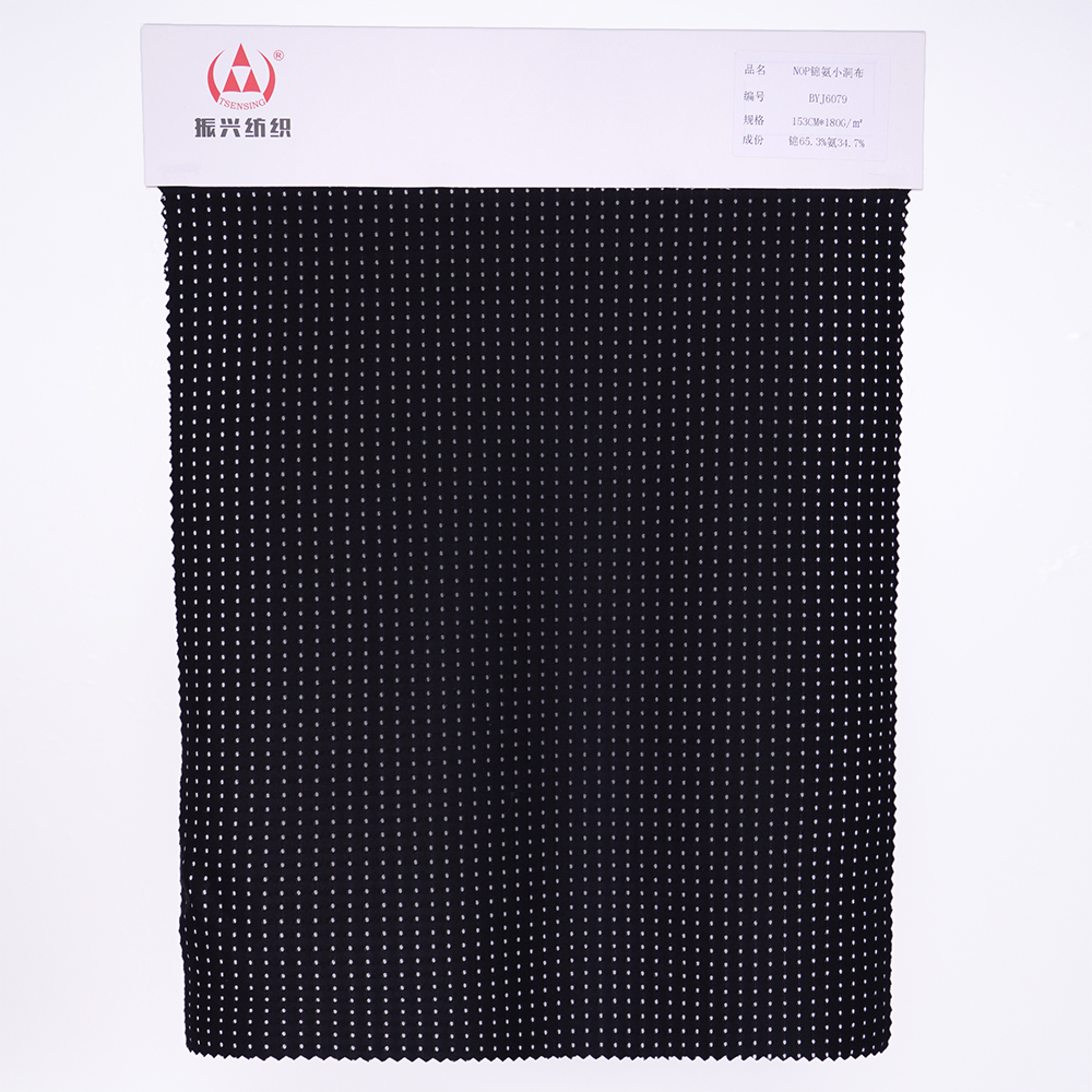 Nylon Spandex  Fabric (2)BYJ6079